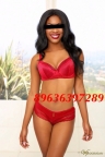 ����������� LOLA